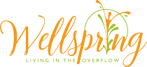 www.wellspringoverflow.com